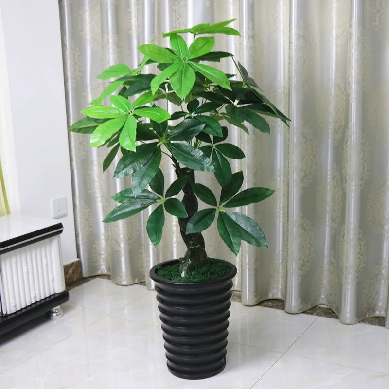 用仿真植物來(lái)裝飾我們的家好嗎