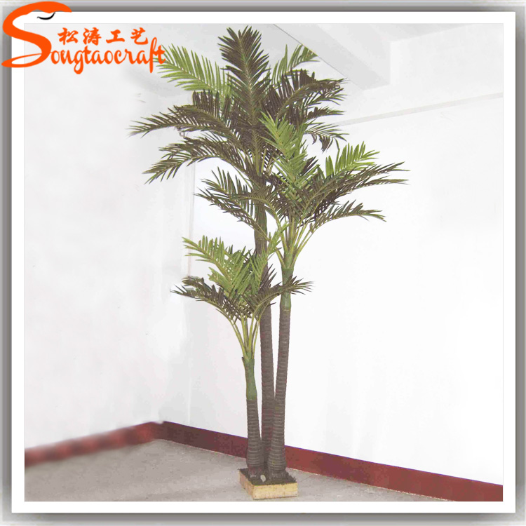 仿真檳榔椰比真檳榔椰有什么好處