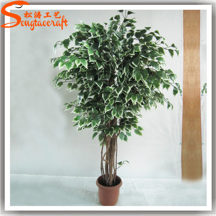 仿真榕樹(shù)盆景能不能放家里