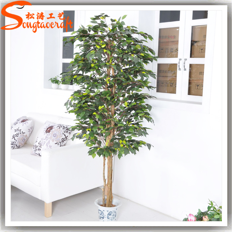 仿真榕樹(shù)盆景能不能放家里 仿真榕樹(shù)盆景能不能放家里
