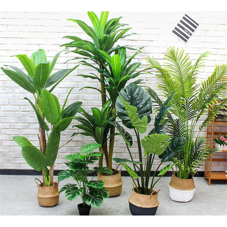 仿真植物與植物該如何一起巧妙利用