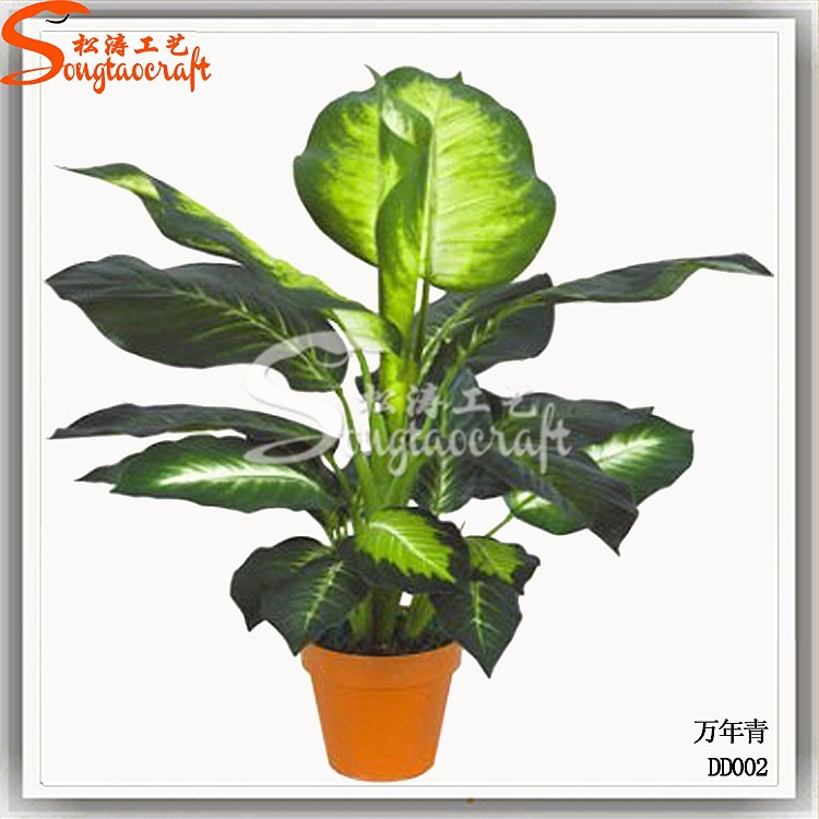 客廳放哪些仿真植物好