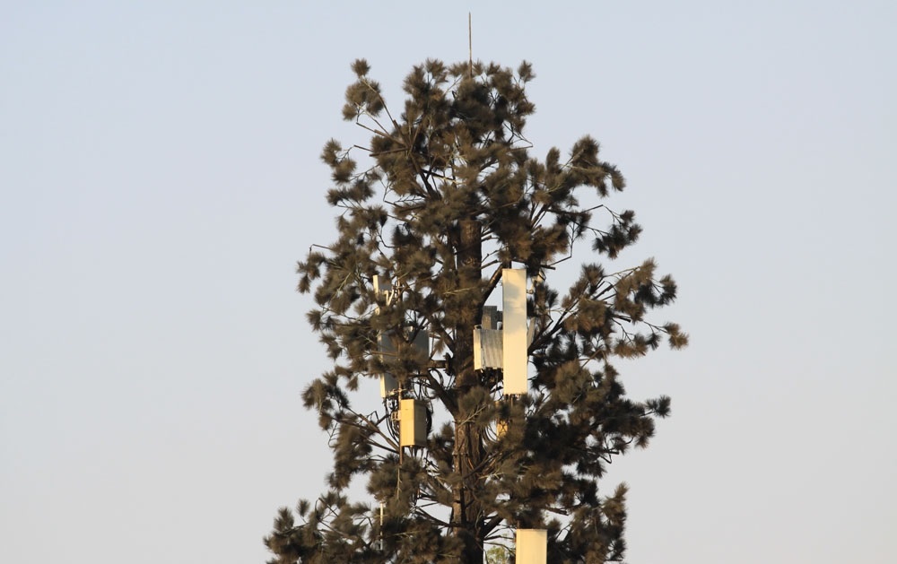 松濤工藝仿真樹，街景不一樣的藝術(shù)